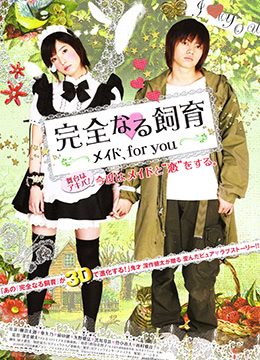 完全饲育:专属女仆